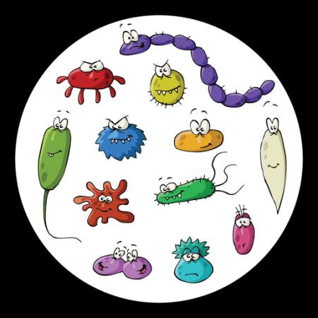 insectos, microscopio, limo, virus Dedmazay - Dreamstime