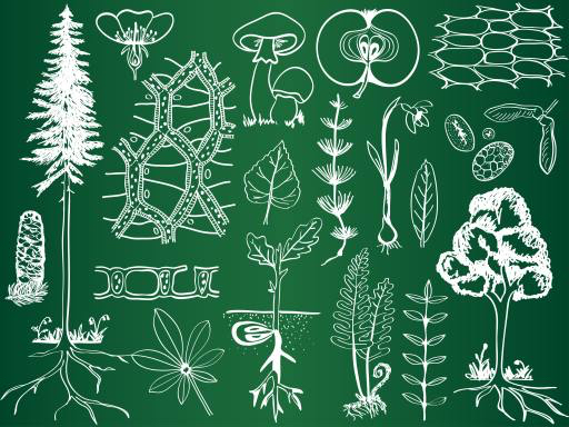 verdes, dibujo, dibujos, árbol, árboles, hojas, setas, manzana, frutas Kytalpa