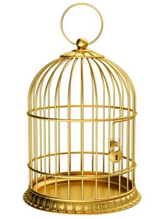 pájaro, jaula, oro, cerradura Ayvan - Dreamstime