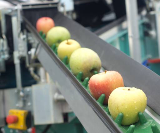 manzanas, comida, máquina, fábrica Jevtic