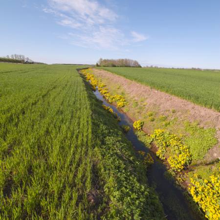 verde, el terreno, campo, agua, zanja Janis Smits - Dreamstime