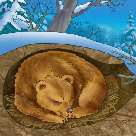 oso, invierno, sueño, frío, naturaleza Alexander Kukushkin - Dreamstime