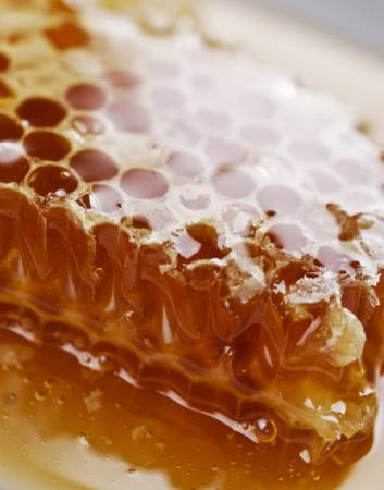 abeja, abejas, miel Liv Friis-larsen - Dreamstime