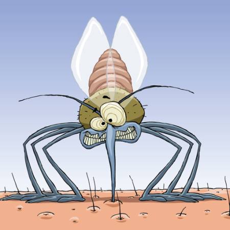 de mosquitos, los animales, el pelo, las moscas, la familia, la infección, la malaria Dedmazay - Dreamstime