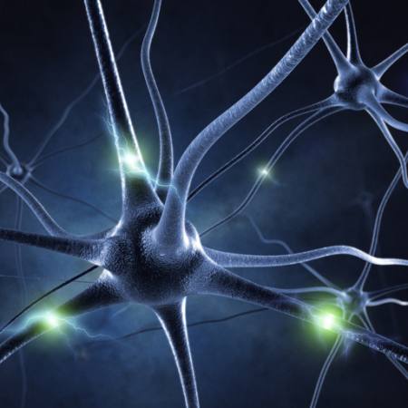 sinapsis, la cabeza, las neuronas, conexiones Sashkinw - Dreamstime