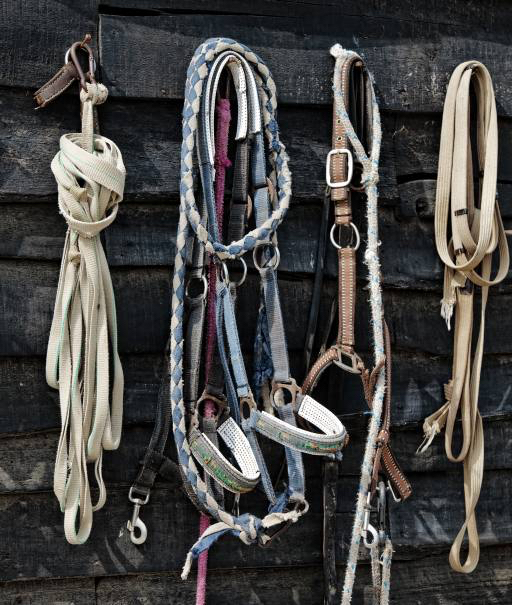 del caballo, cuerda, cuerdas, objetos Vladimir Lukovic (Radelukovic)