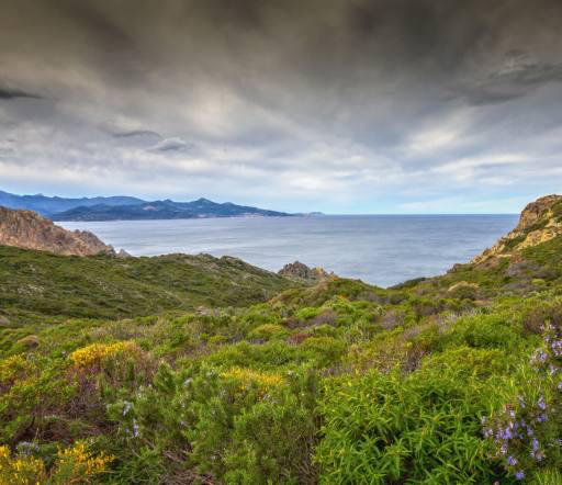 naturaleza, paisaje, mar, océano, verde, cielo, tormenta Jon Ingall (Joningall)