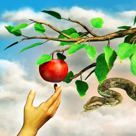 de manzana, serpiente, rama, verde, hojas, mano Andreus - Dreamstime