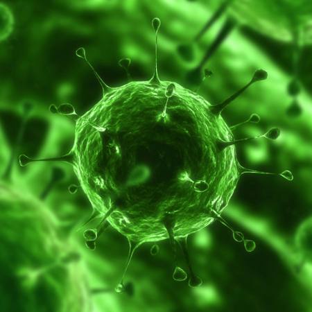 bacterias, virus, insectos, las enfermedades, las células Sebastian Kaulitzki - Dreamstime
