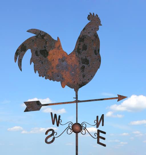 gallo, flecha, cielo, nubes, animal, pollo Julien Tromeur (Julos)