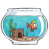 Pixwords La imagen con pescados, cuenco, Swin, agua, castillo, arena Dedmazay - Dreamstime