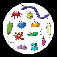 Pixwords La imagen con insectos, microscopio, limo, virus Dedmazay - Dreamstime