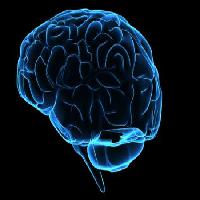Pixwords La imagen con de la cabeza, hombre, mujer, piense, cerebro Sebastian Kaulitzki - Dreamstime