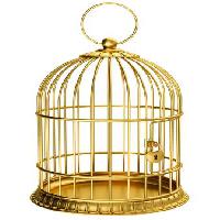 Pixwords La imagen con pájaro, jaula, oro, cerradura Ayvan - Dreamstime