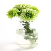 Pixwords La imagen con planta, flor, verde, agua, tubo, florero Kerstin Aust - Dreamstime