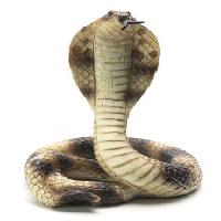 Pixwords La imagen con serpiente, animal, Lightzoom - Dreamstime