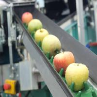 Pixwords La imagen con manzanas, comida, máquina, fábrica Jevtic