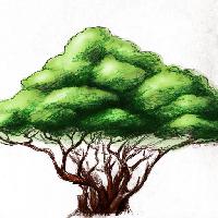 árbol, dibujo, naturaleza Alexandr Mitiuc (Alexmit)