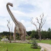Pixwords La imagen con de los dinosaurios, parque, árbol, árboles, animales Caesarone