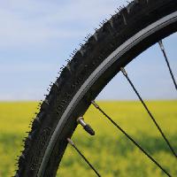 en bicicleta, rueda, verde, hierba, campo, naturaleza Leonidtit
