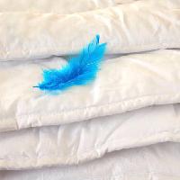 Pixwords La imagen con de plumas, azul, almohadas Julija Sapic (Yulia)