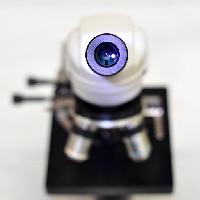 de la cámara, lente, microscopio catiamadio