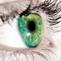verde, párpados, ojo Goran Turina - Dreamstime
