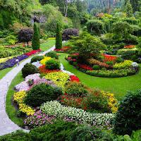 Pixwords La imagen con de jardín, flores, colores, verde Photo168 - Dreamstime