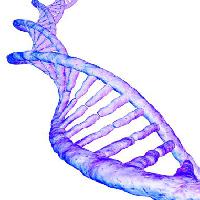Pixwords La imagen con del ADN, gen, humano, sangre, malva Sebastian Kaulitzki - Dreamstime