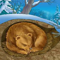 Pixwords La imagen con oso, invierno, sueño, frío, naturaleza Alexander Kukushkin - Dreamstime