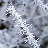 Pixwords La imagen con escarcha, hielo, invierno, pico Haraldmuc - Dreamstime