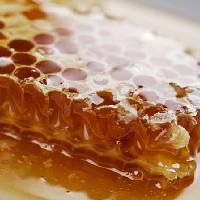 Pixwords La imagen con abeja, abejas, miel Liv Friis-larsen - Dreamstime