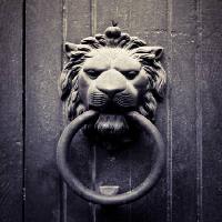 león, el anillo, la boca, la puerta Mauro77photo - Dreamstime