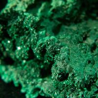 Pixwords La imagen con verde, mineral, objeto, planta Farbled