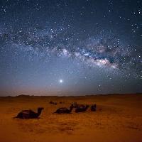 cielo, noche, , desierto, camellos, estrellas, luna Valentin Armianu (Asterixvs)