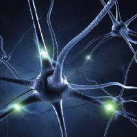 Pixwords La imagen con sinapsis, la cabeza, las neuronas, conexiones Sashkinw - Dreamstime