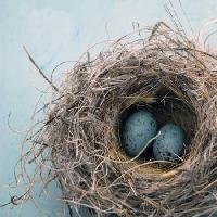 Pixwords La imagen con nido, huevo, pájaro, azul, hogar, Antaratma Microstock Images © Elena Ray - Dreamstime