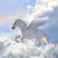 Pixwords La imagen con caballos, nubes, mosca, alas Viktoria Makarova - Dreamstime