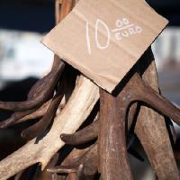 diez euros, madera, etiqueta, tabla, cartboard, cuerno, cuernos Eugenesergeev - Dreamstime