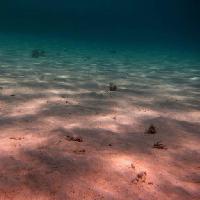 Pixwords La imagen con mar, fondo del mar, agua, luz, rayos, arena Thomas Eder (Thomaseder)