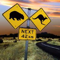 Pixwords La imagen con los signos, oso, cangoroo, al lado, por carretera, wil Ron Sumners - Dreamstime