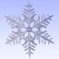 Pixwords La imagen con de hielo, escama, invierno, nieve James Steidl - Dreamstime