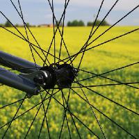 de la rueda, tierra, hierba, campo, bicicleta, amarillo Leonidtit