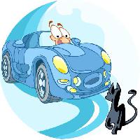 coche, coche, gato, animal Verzhh