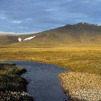Pixwords La imagen con el agua, la naturaleza, la montana, amarillo, campo, nieve, río Alexander Gruzdev (Gruzdevar)